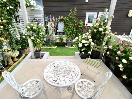 gallery_816_3