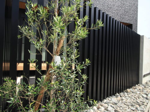 gallery_1291_4