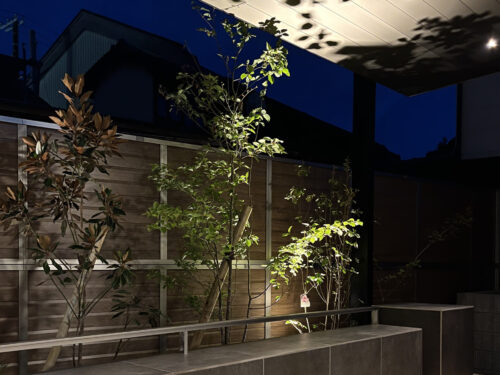 gallery_1289_11